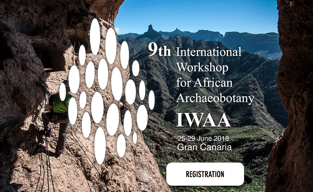 En este momento estás viendo 9º Congreso Internacional de Arqueobotánica Africana