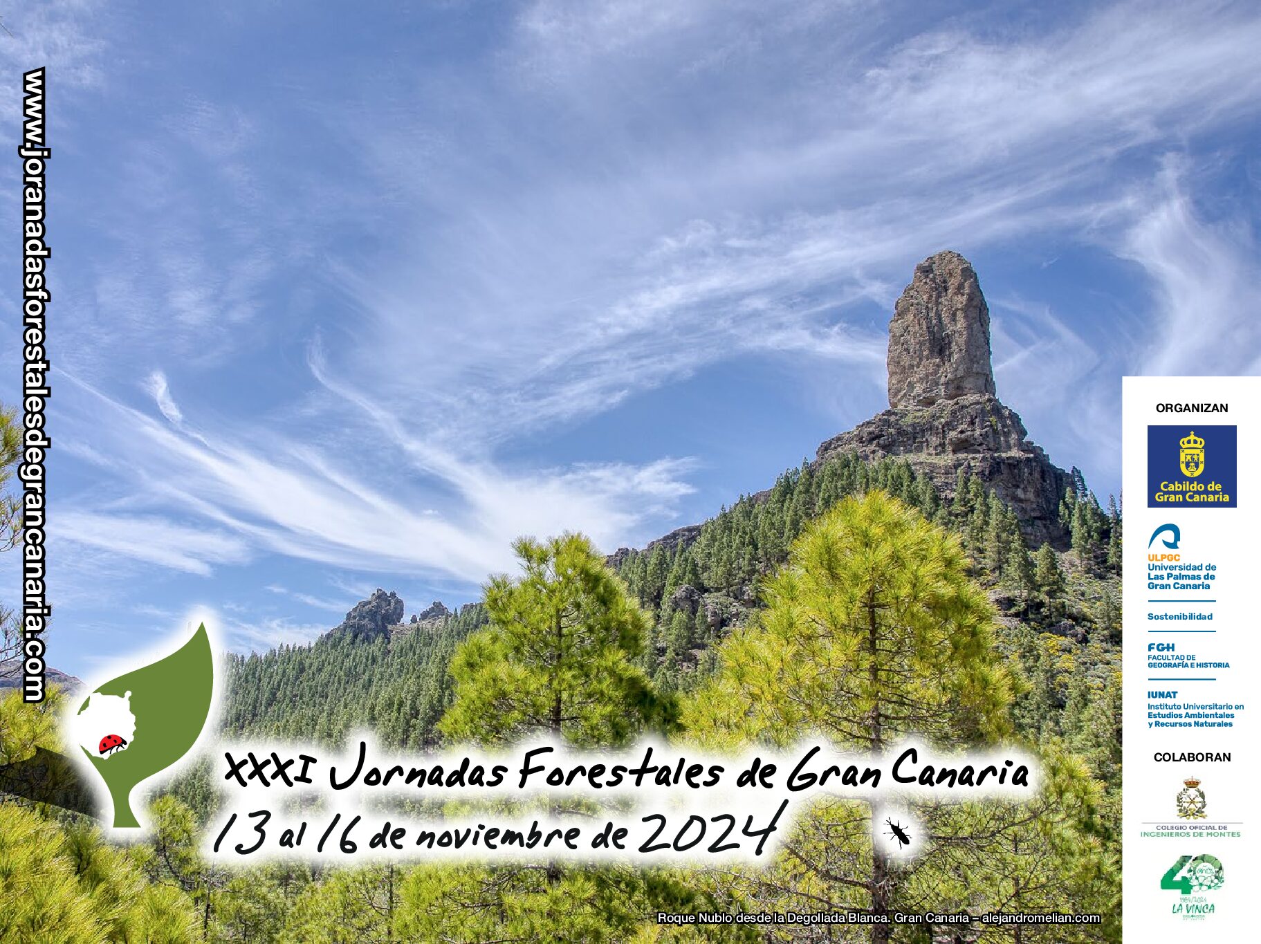 Lee más sobre el artículo Jornadas Forestales de Gran Canaria